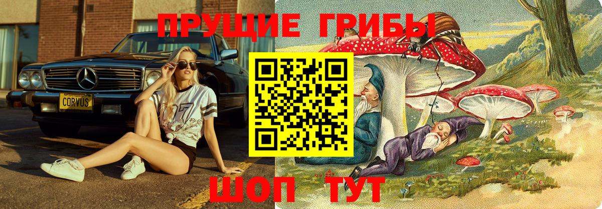 Городец  Псилоцибиновые грибы GOLDEN TEACHER  Вход с VPN  Псилоцибиновые грибы Psilocybine cubensis 
